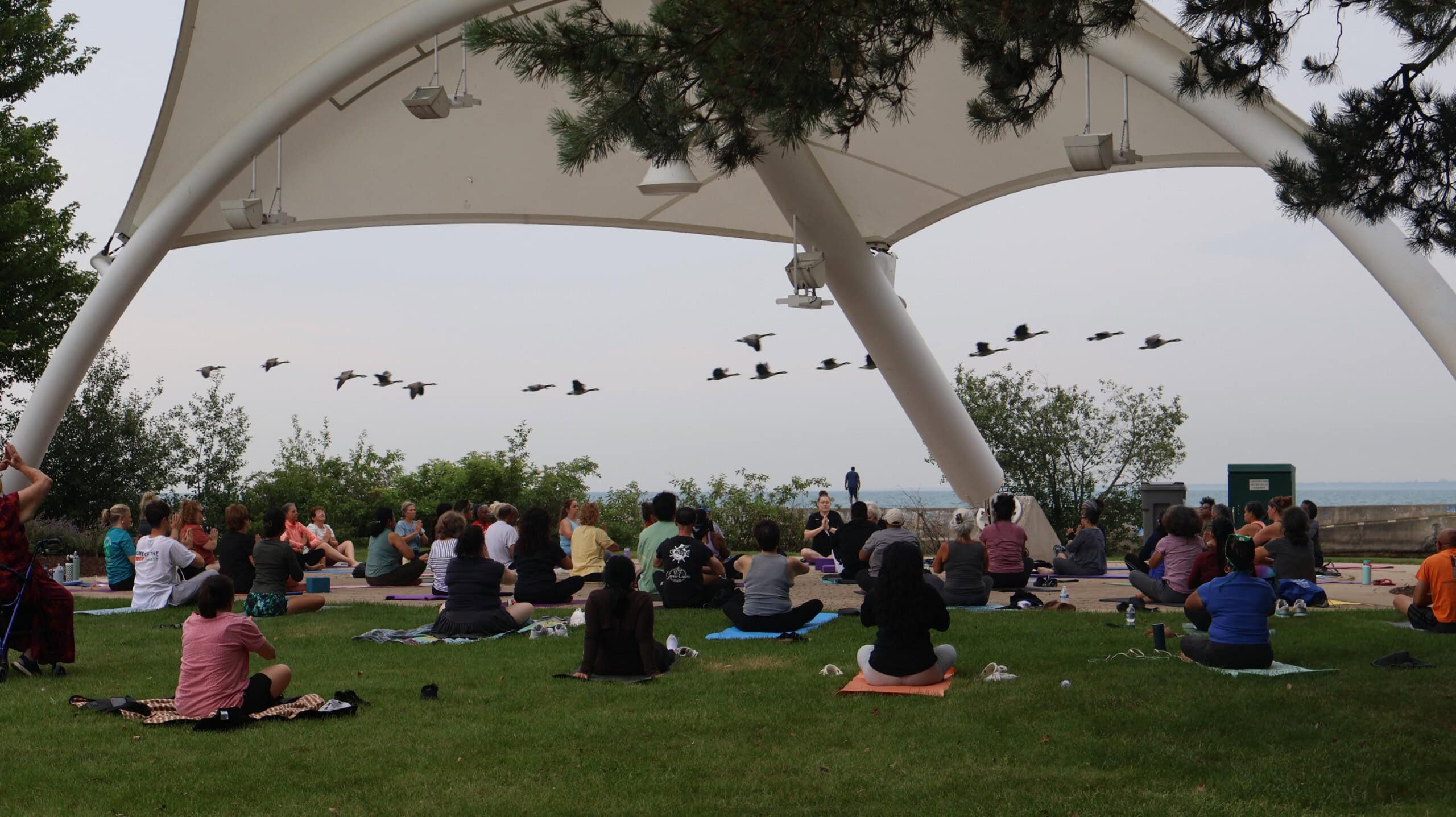People practicing yoga at Waukegan Lakefront Park with Lake Michigan in the background.