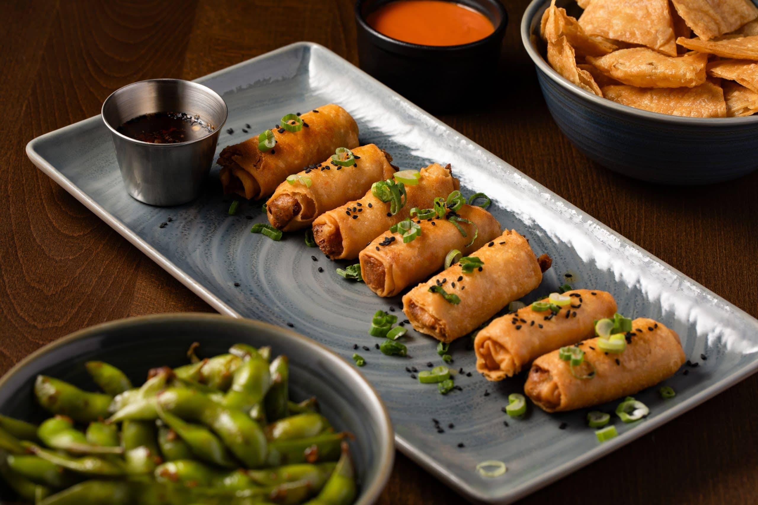 Appetizer platter with spring rolls, edamame, and dipping sauces in Waukegan, IL.