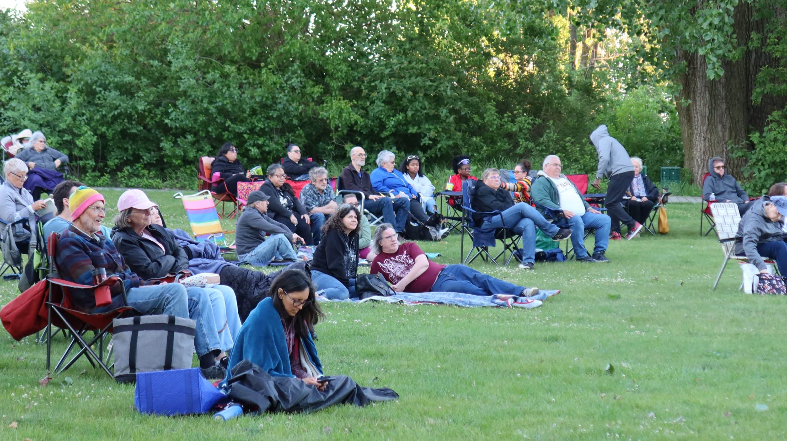 People enjoying an outdoor concert in Waukegan, IL with trees and grass.